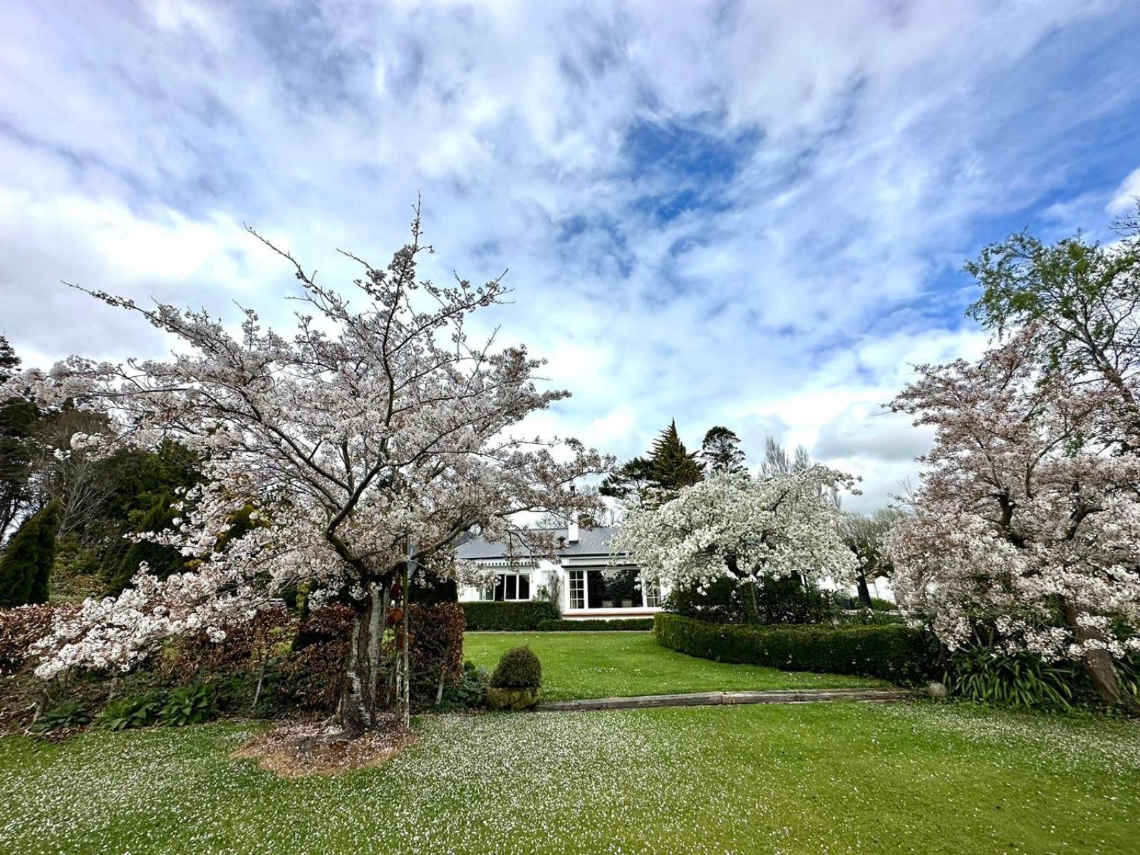Whiteacres Bed & Breakfast Invercargill Eksteriør bilde